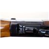 Image 15 : RUGER | Model: NO1-V | Caliber: .22-250 REM