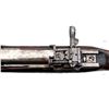 Image 16 : ROSS RIFLE | Model: 1910 MK3 HMS Canada | Caliber: .303 BR