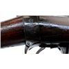 Image 13 : CANADIAN LEE ENFIELD | Model: NO1 MK3* | Caliber: .303 BR