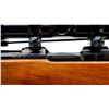 Image 8 : BRNO | Model: ZKW 465 | Caliber: .22 HORNET