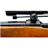 Image 9 : BRNO | Model: ZKW 465 | Caliber: .22 HORNET