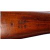 Image 13 : CANADIAN ENFIELD | Model: 1917 | Caliber: .30-06 SPRG
