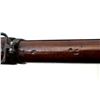 Image 22 : CANADIAN ENFIELD | Model: 1917 | Caliber: .30-06 SPRG