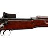 Image 3 : CANADIAN ENFIELD | Model: 1917 | Caliber: .30-06 SPRG