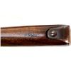 Image 18 : ROSS RIFLE | Model: M10 MKIII | Caliber: .303 BR