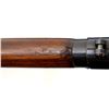 Image 20 : LEE ENFIELD LONG BRANCH | Model: NO4 MKI* | Caliber: .303 BR