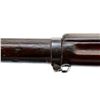 Image 11 : DUTCH MANNLICHER | Model: 95 Rifle | Caliber: 6.5 X 53R