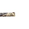 Image 13 : WINCHESTER | Model: Super X4 Waterfowl | Caliber: 12 G X 3 1/2"
