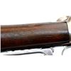 Image 10 : WINCHESTER | Model: 1895 Custom | Caliber: .303 BR