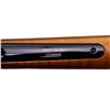 Image 9 : HENRY REPEATING ARMS | Model: H001 | Caliber: .22 LR