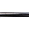 Image 15 : J.P SAUER & SOHN | Model: 8 | Caliber: 16 G X 2 3/4"