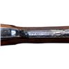Image 11 : ARMY NAVY CSL LONDON | Model: Side By Side Hammerless | Caliber: 12 G X 2 1/2"