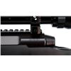 Image 7 : SAVAGE | Model: Axis  | Caliber: .243 WIN