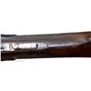 Image 11 : UNKNOWN BRITISH  | Model: Side By Side Hammerless | Caliber: 12 G X 2 1/2"