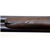 Image 14 : UNKNOWN BRITISH  | Model: Side By Side Hammerless | Caliber: 12 G X 2 1/2"