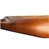 Image 7 : UNKNOWN BRITISH  | Model: Side By Side Hammerless | Caliber: 12 G X 2 1/2"