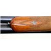 Image 14 : UNKNOWN SPANISH | Model: Side By Side Hammerless | Caliber: 12 G X 3"