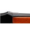 Image 10 : W.W. GREENER | Model: EG MK III | Caliber: 14 G
