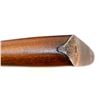 Image 14 : REMINGTON | Model: 30 Express | Caliber: .30-06 SPRG