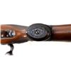 Image 17 : REMINGTON | Model: 30 Express | Caliber: .30-06 SPRG