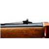 Image 7 : WINCHESTER | Model: 94 | Caliber: .30-30 WIN