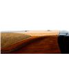 Image 10 : BAIKAL | Model: IJ-27E | Caliber: 12 G X 3"