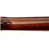 Image 14 : J.P SAUER & SOHN | Model: Hammerless | Caliber: 12 G X 2 3/4"