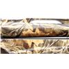 Image 11 : BENELLI | Model: Super Nova  | Caliber: 12 G X 3 1/2"
