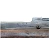 Image 8 : LEE ENFIELD LONG BRANCH | Model: NO4 MKI* | Caliber: .303 BR