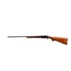 Image 4 : CHARLES DALY | Model: 101 | Caliber: 410 G X 3"