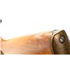 Image 17 : AUSTRALIAN LEE ENFIELD | Model: NO1 MK3 Sporter | Caliber: .303 BR