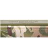 Image 10 : SAVAGE | Model: MKII | Caliber: .22 LR