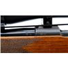 Image 7 : BRNO | Model: ZKK600 | Caliber: .30-06 SPRG