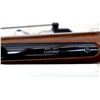 Image 9 : HENRY REPEATING ARMS | Model: H001 | Caliber: .22 LR