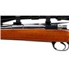 Image 6 : GLOBE FIREARMS | Model: 98 Commercial | Caliber: 6.5 X 55