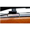 Image 7 : GLOBE FIREARMS | Model: 98 Commercial | Caliber: 6.5 X 55