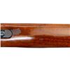 Image 16 : REMINGTON | Model: 600 | Caliber: .243 WIN