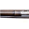 Image 13 : WEBLEY & SCOTT | Model: Garden Gun | Caliber: 410 G X 2 1/2"