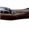 Image 16 : WEBLEY & SCOTT | Model: Garden Gun | Caliber: 410 G X 2 1/2"