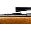 Image 7 : SPRINGFIELD | Model: 87A | Caliber: .22 LR