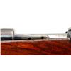 Image 7 : UNKNOWN MAUSER | Model: 98 Sporter | Caliber: 8MM MAUSER ?