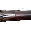 Image 11 : UNKNOWN SPANISH | Model: Hammer Gun | Caliber: 12 G X 2 3/"