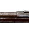 Image 10 : UNKNOWN BELGIAN | Model: Gras Sporter | Caliber: 12 G X 2 3/4"