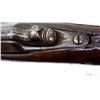 Image 16 : UNKNOWN BELGIAN | Model: Gras Sporter | Caliber: 12 G X 2 3/4"