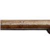 Image 9 : UNKNOWN BELGIAN | Model: Gras Sporter | Caliber: 12 G X 2 3/4"