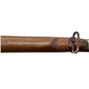 Image 15 : UNKNOWN BELGIAN | Model: Zulu | Caliber: 12 G X 2 3/4"