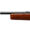 Image 7 : COOEY | Model: 39 | Caliber: .22 LR