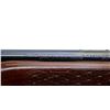 Image 9 : REMINGTON | Model: 742 Woodsmaster | Caliber: .30-06 SPRG