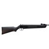 Image 2 : WINCHESTER/DAISY | Model: 1100SS | Caliber: .177 CAL PELLET