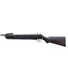 Image 5 : WINCHESTER/DAISY | Model: 1100SS | Caliber: .177 CAL PELLET